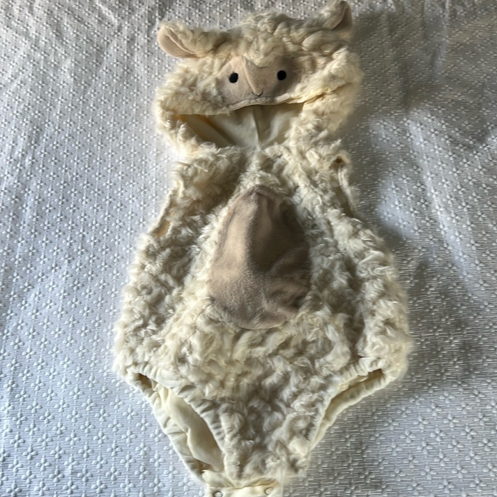 Pottery barn Halloween costume